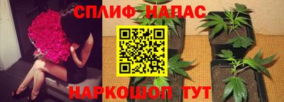 гидра Новодвинск