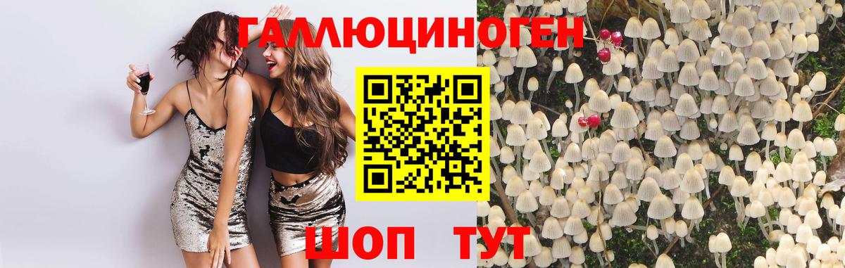 Псилоцибиновые грибы Psilocybine cubensis  Галлюциногенные грибы мицелий  Вход с VPN  Уссурийск 